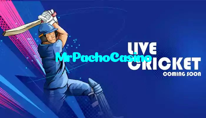 MrPachoCasino خوش آمدید بونس +600% پیشکش موبائل ایپ کے پروموشن سیکشن میں دکھائی دیتی ہے۔